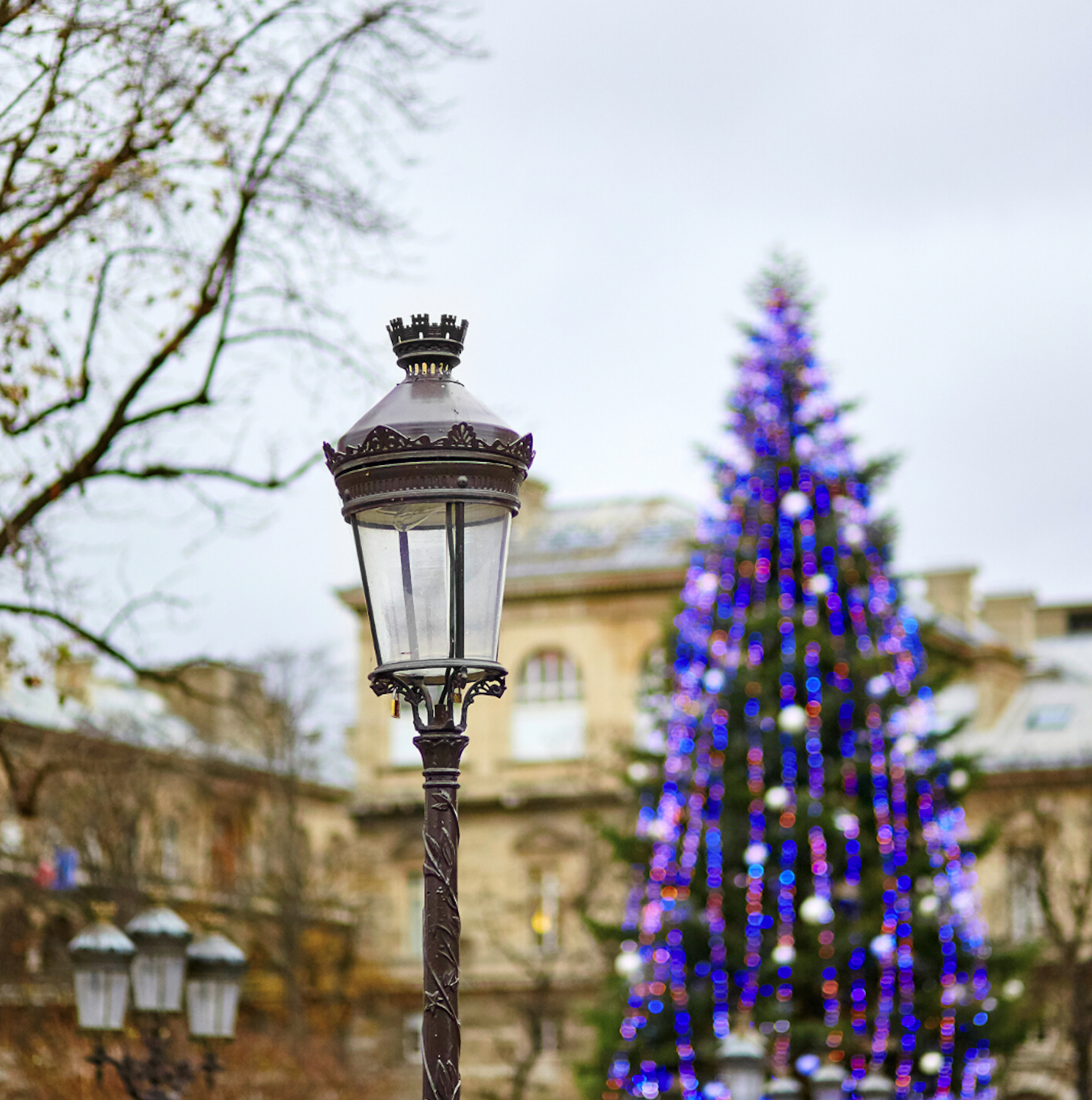 bon marche christmas jumpers 2020