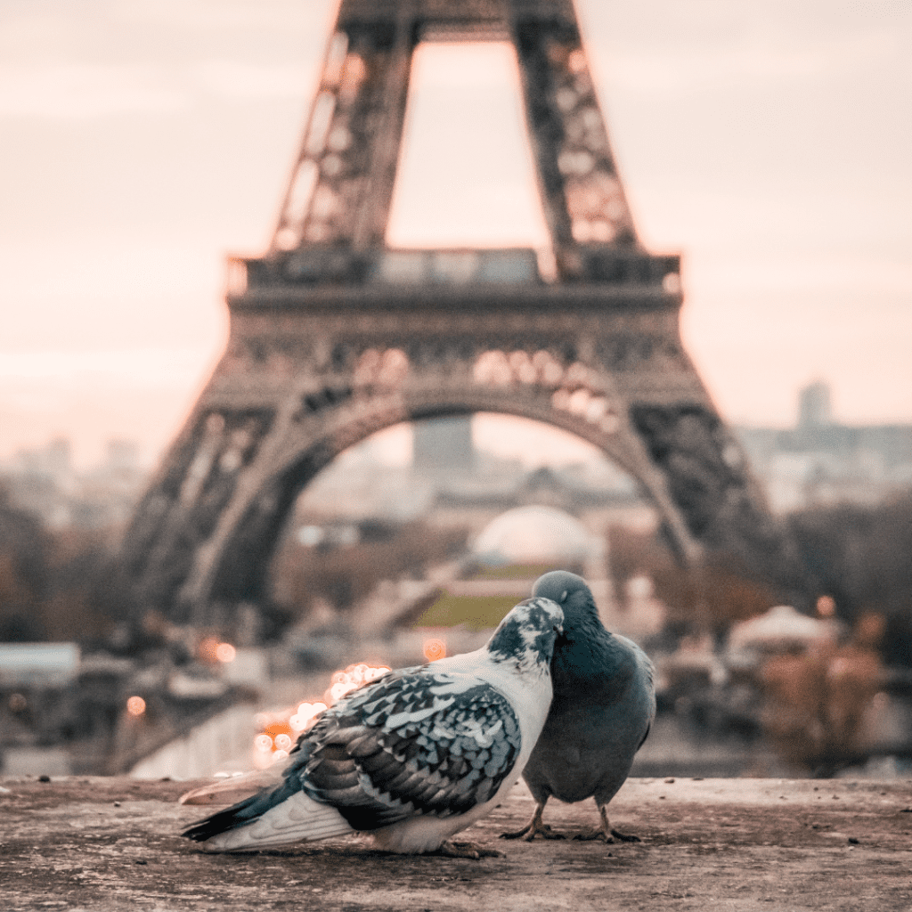 Paris for Two: Romantic Things to Do in the City of Love - Paris For  Dreamers